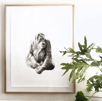 Image 2 of 'GYPSY' Limited Edition Print