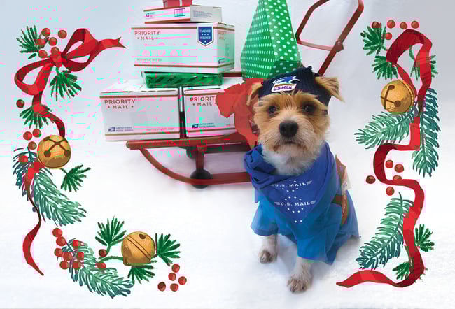 Bowwow Bells Postcard—Pack of 70