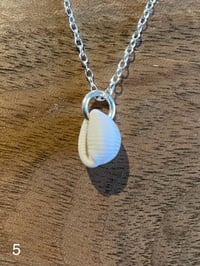 Image 5 of Devon Cowrie on Sterling Silver Chain