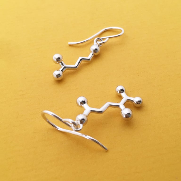 GABA-glutamate earrings Image 3