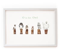 O is for Owl Print