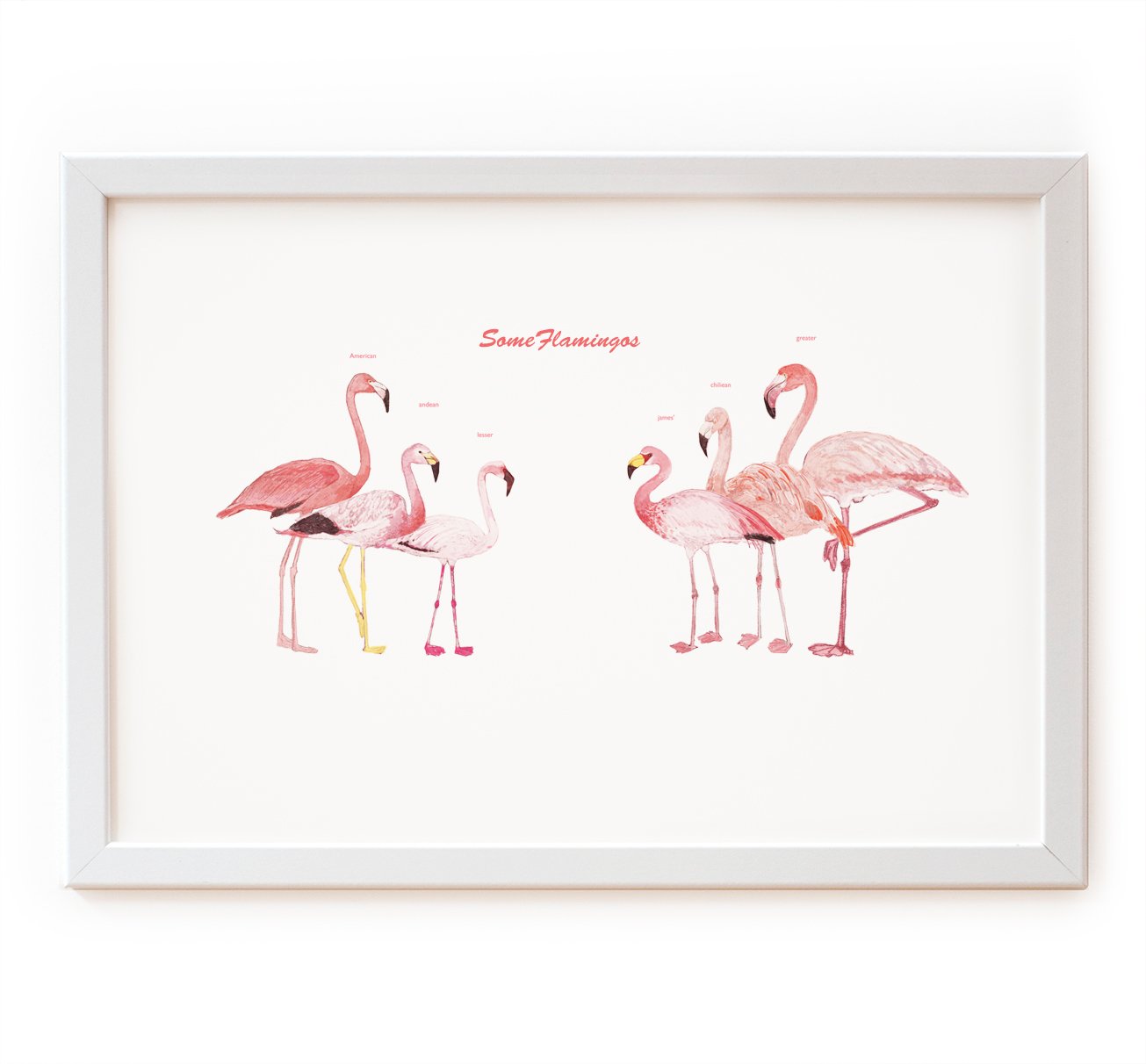Image of Pink Flamingos Print