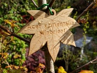 Plant tag