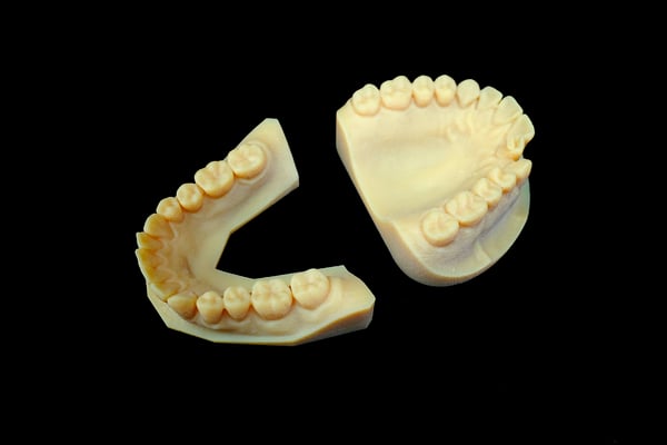 Image of Typodont Model Set