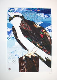 Image 3 of Osprey Print