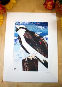 Image 1 of Osprey Print