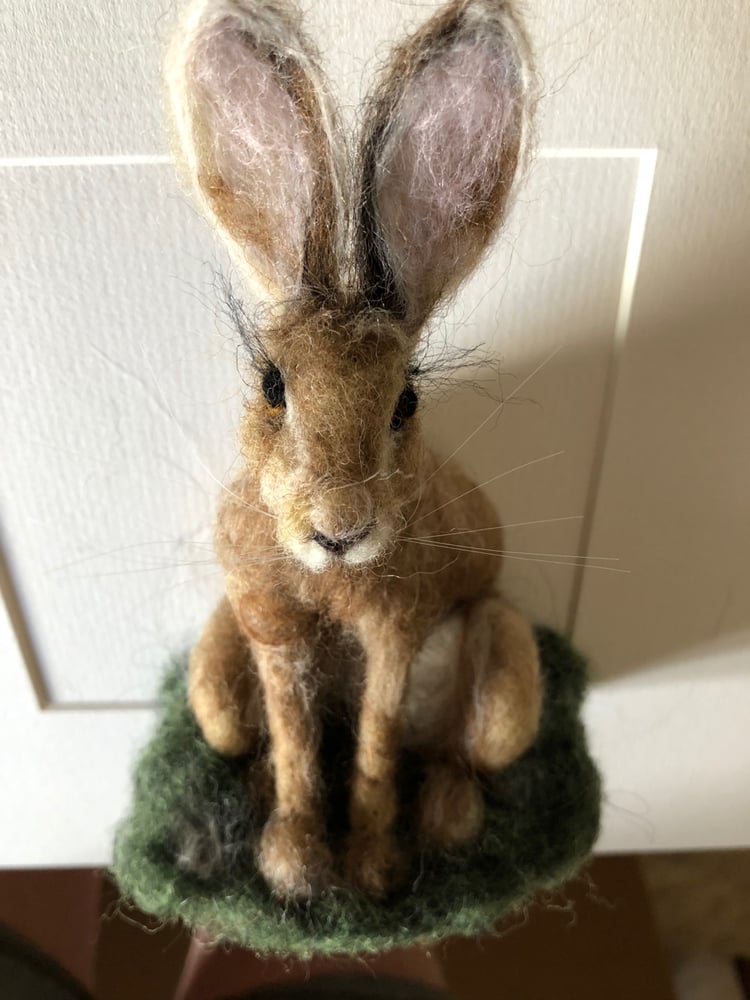 Image of Harriet The Hare