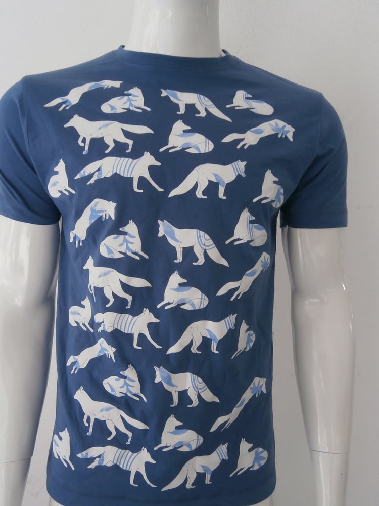 Image of Blue foxes 