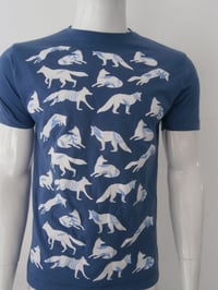 Image 1 of Blue foxes 