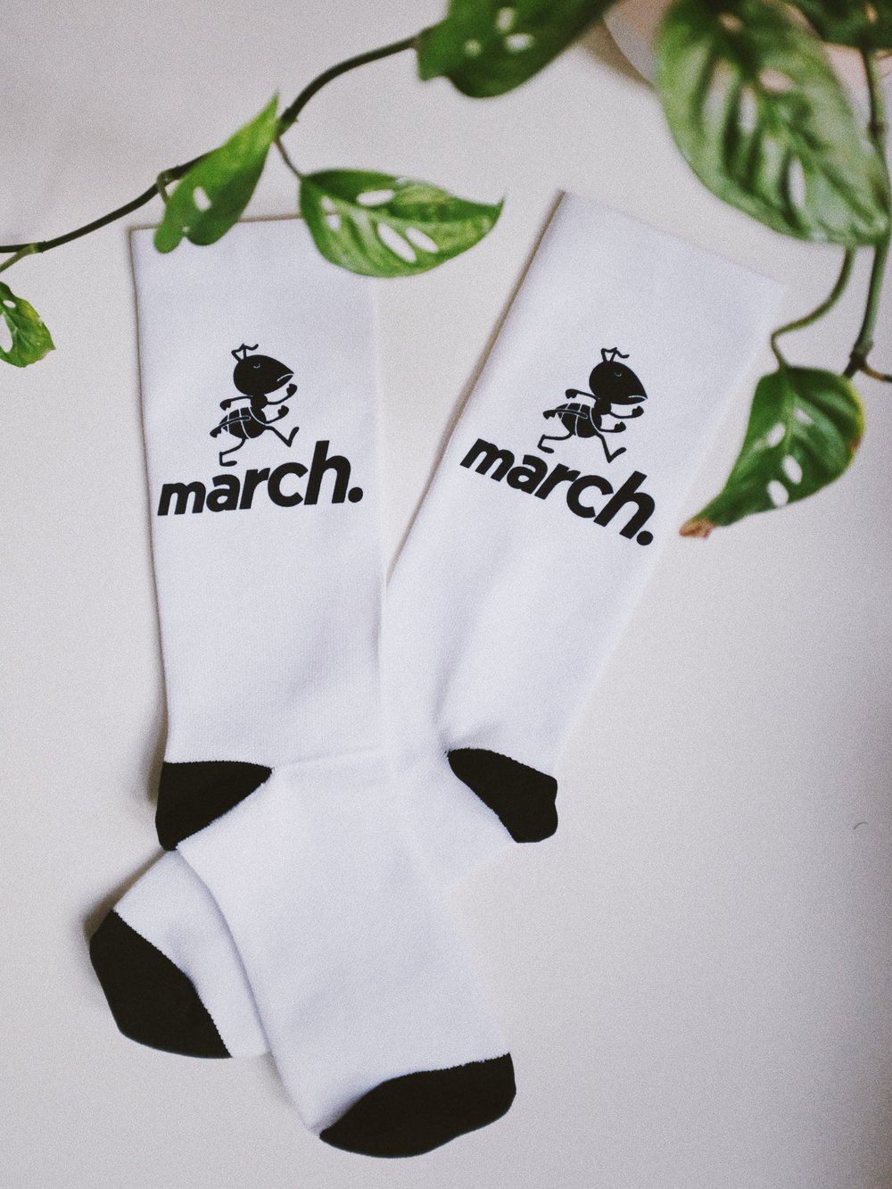 Image of Marchin' Ant Socks