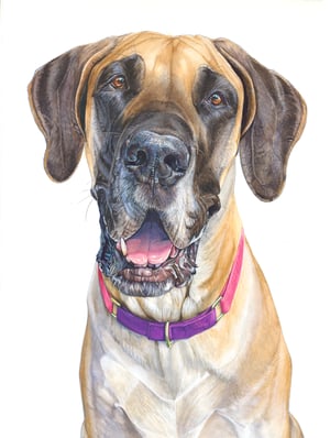 Image of Custom 18" x 24" Detailed Watercolor Portrait