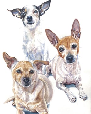 Image of Custom 18" x 24" Detailed Watercolor Portrait