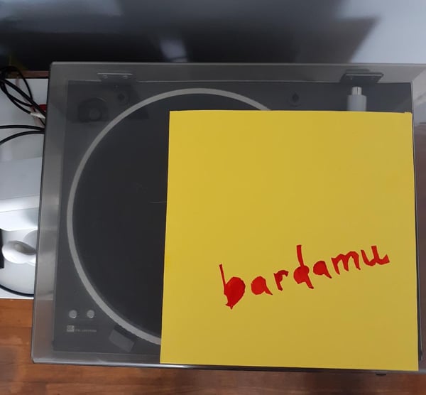 Image of Bardamu 10" w/ Handmade Sleeve