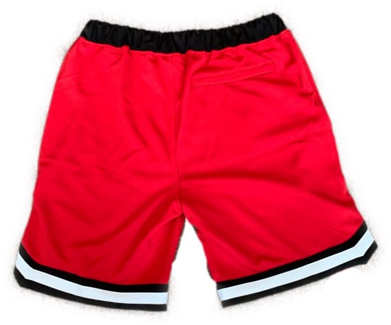 Image of Loudlife Louie Skunkball shorts (Red/white/black)