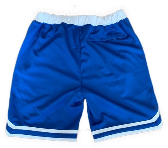 Image of Loudlife Louie Skunkball Shorts (Royal/white)