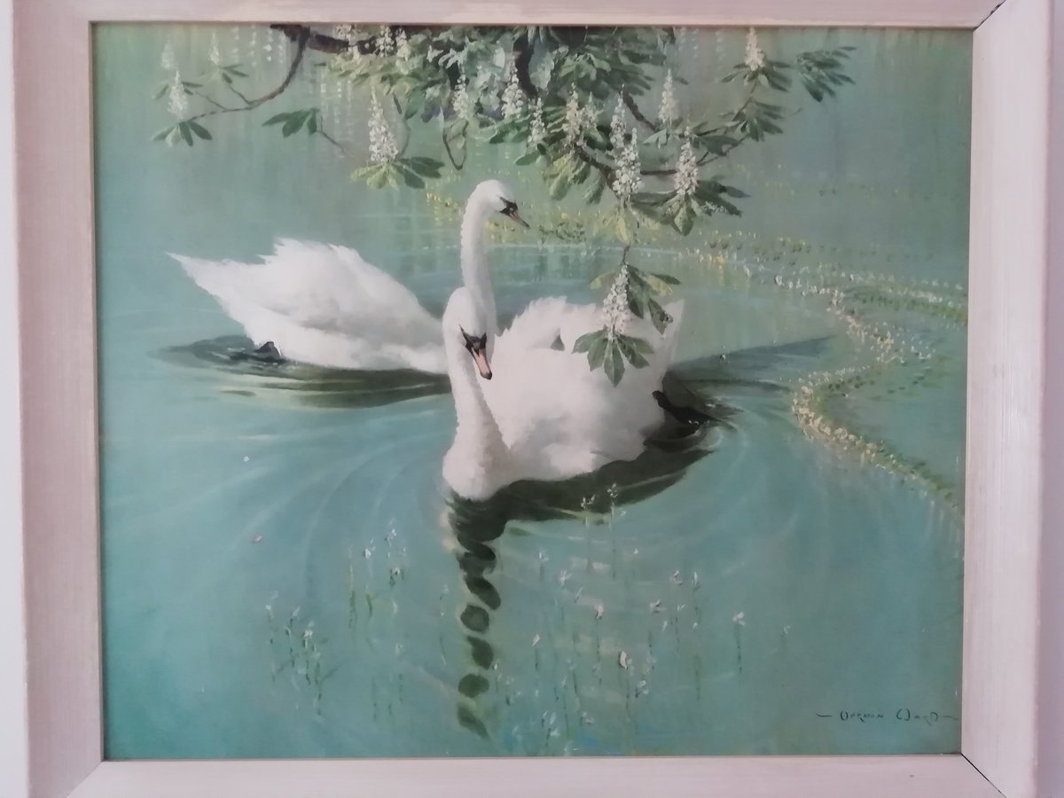 Image of Vernon Ward 'Harmony Of Spring' Blue & White Swans Mid century Framed Glazed Print 