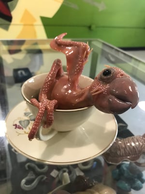 Image of Tea Cup Treasure Series Baby Parrot