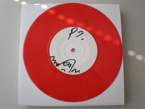 Image of Signed Foaming 7" Vinyl