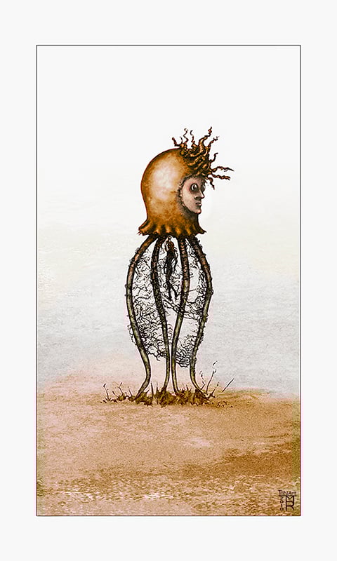Image of Catch