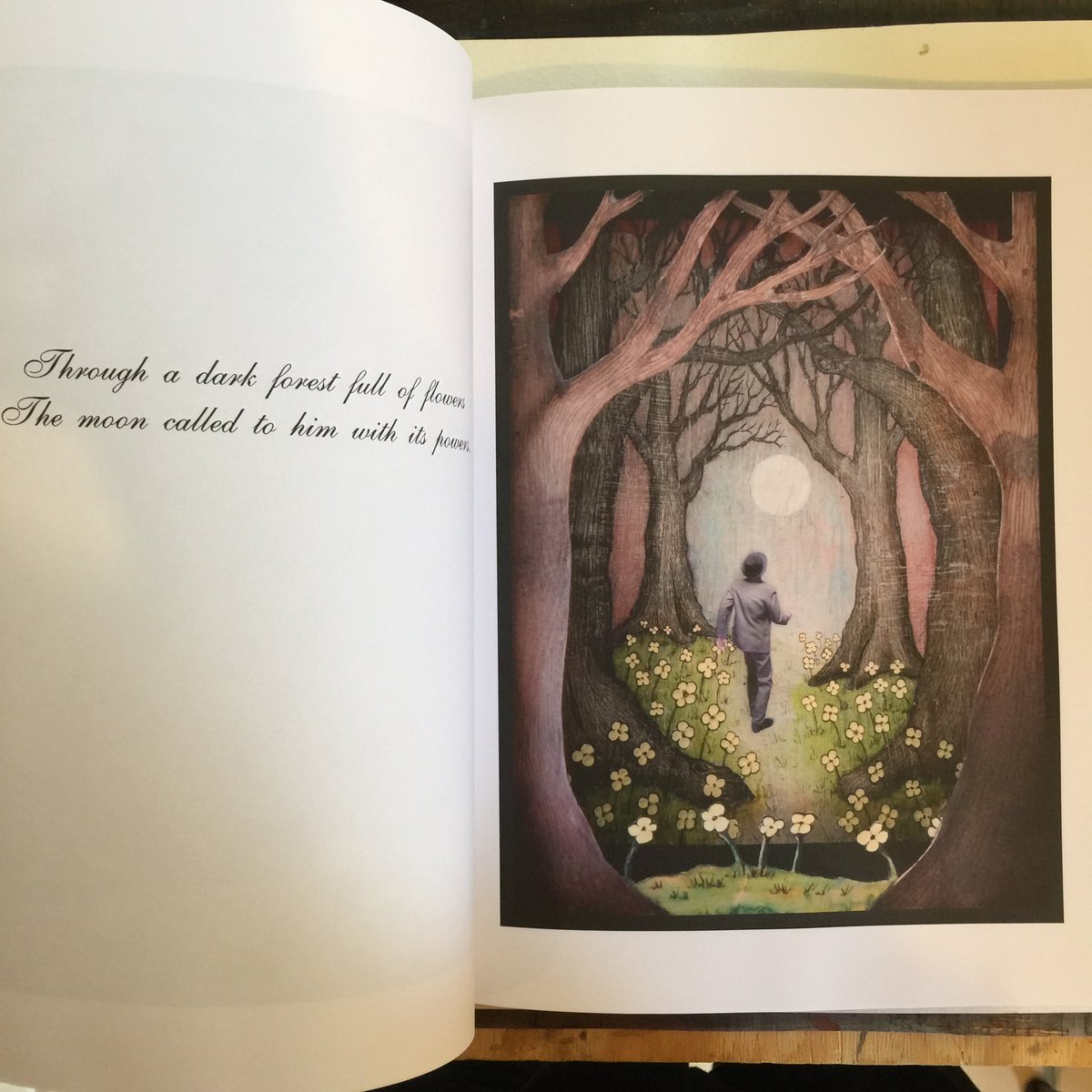 Image of Into the Moonlight / Hardcover signed by the artist