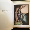 Into the Moonlight / Hardcover signed by the artist