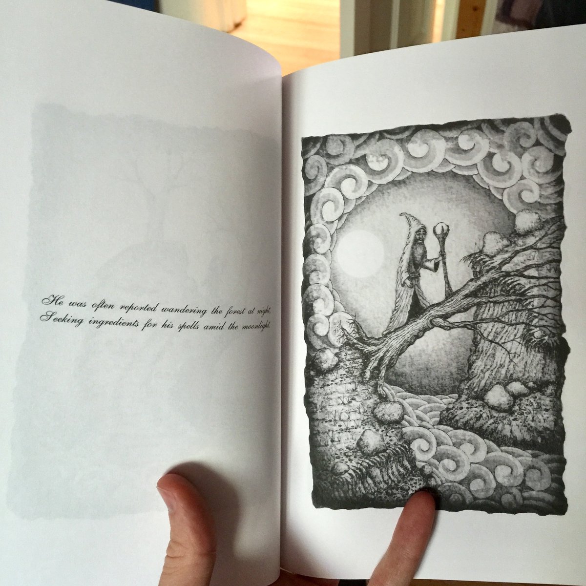 Image of Tales of Wizardly Whimsy / Hardcover signed by the artist