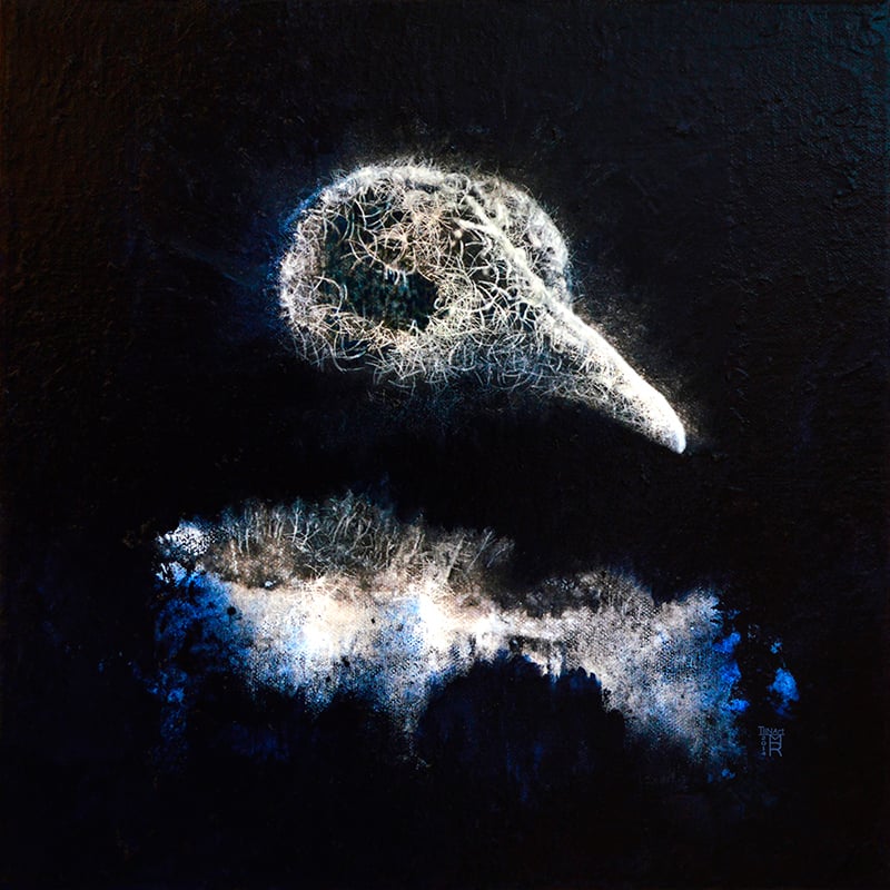 Image of Limited Inner Light