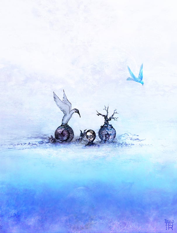 Image of Life In a Shell