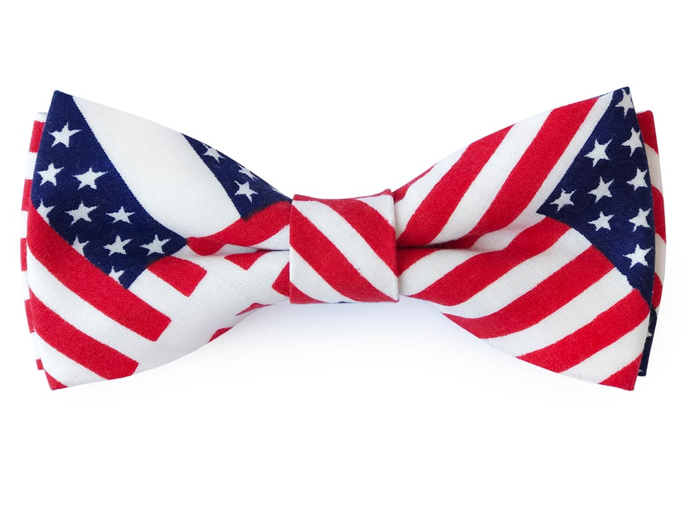 Image of American Flag pre-tied bow tie