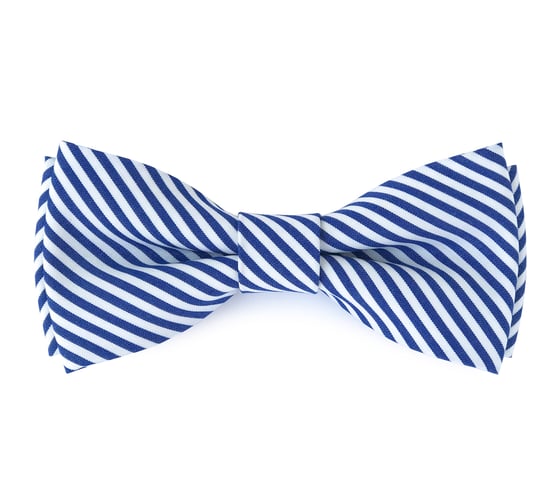 Image of Navy stripes pre-tied bow tie
