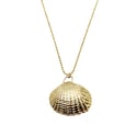 Gold Clam Shell Necklace