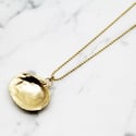 Gold Clam Shell Necklace