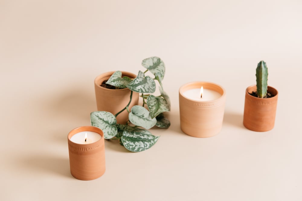 Image of PF Candle Co Terra Soy candle small