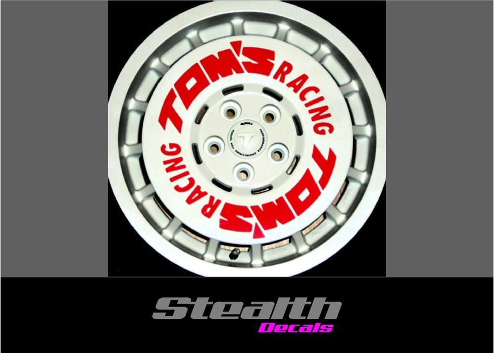 Tom's Racing Vesta Japan 15