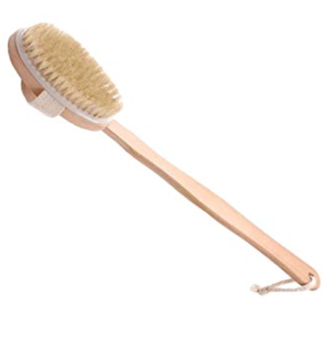 Image of Dry Brush with removable handle