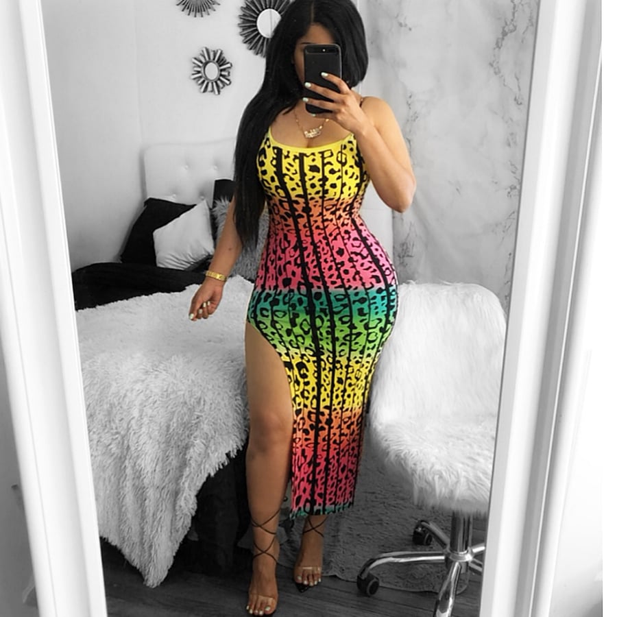 Image of Multi color leopard dress 