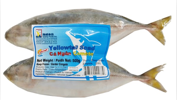 Image of Yellow Tail Scad
