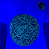 Image 2 of Haeckel-Rauschenberg Fluorescent Brain Stone Moon Tee 