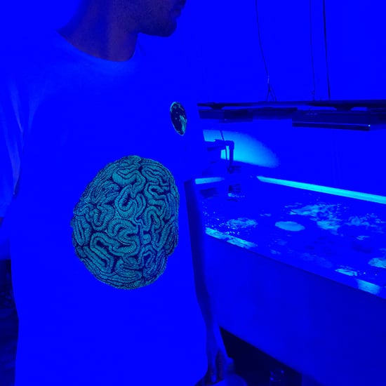 Image of Haeckel-Rauschenberg Fluorescent Moon Tee 