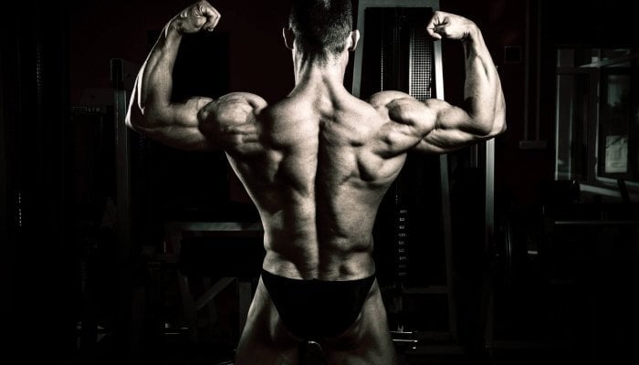 Image of 6 DAY WORKOUT ROUTINE
