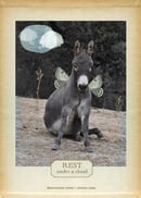 Image of Donkey Wisdom Journals