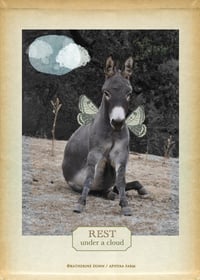 Image 1 of Blank Journal:Donkey Wisdom