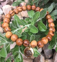 OLIVE WOOD - OM