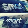 "Clever Tiny Car Stickers" Waterproof Smart inspired stickers