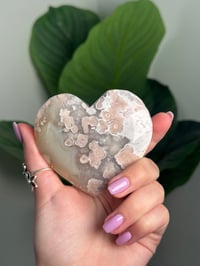 Image 3 of HQ FLOWER AGATE HEART -MADAGASCAR- D