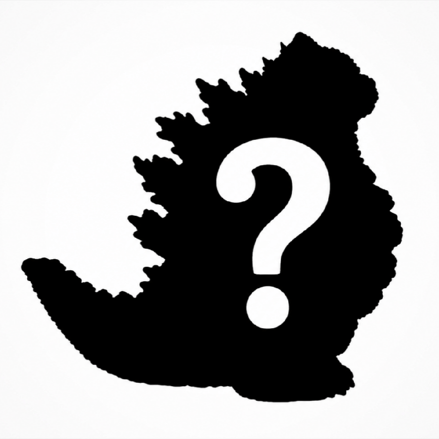 Image of Mystery Pussyzilla 