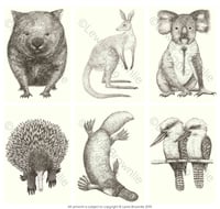 Illustrated Australian Animal Postcards (6 pack)