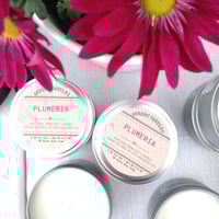Image 4 of PLUMERIA