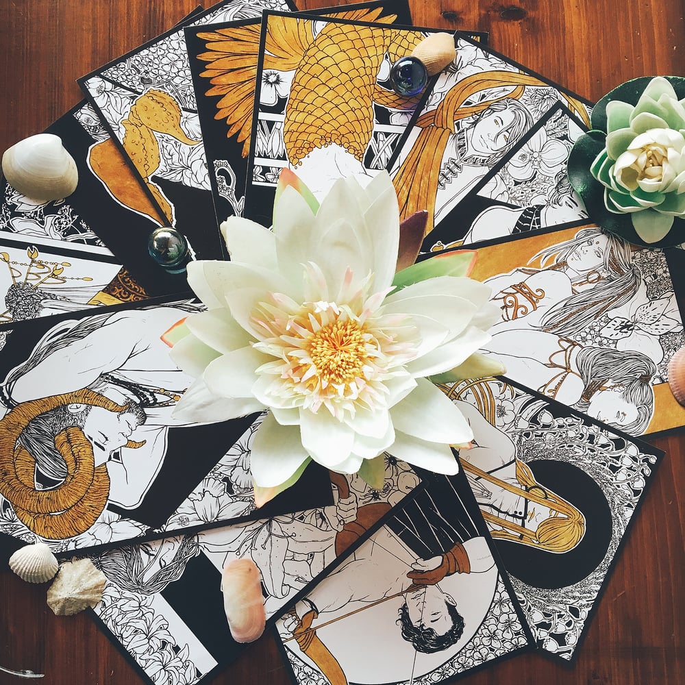 Image of *Caelum Florescens* - FULL SET - 50% OFF