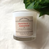Image 4 of GRAPEFRUIT + MANGOSTEEN
